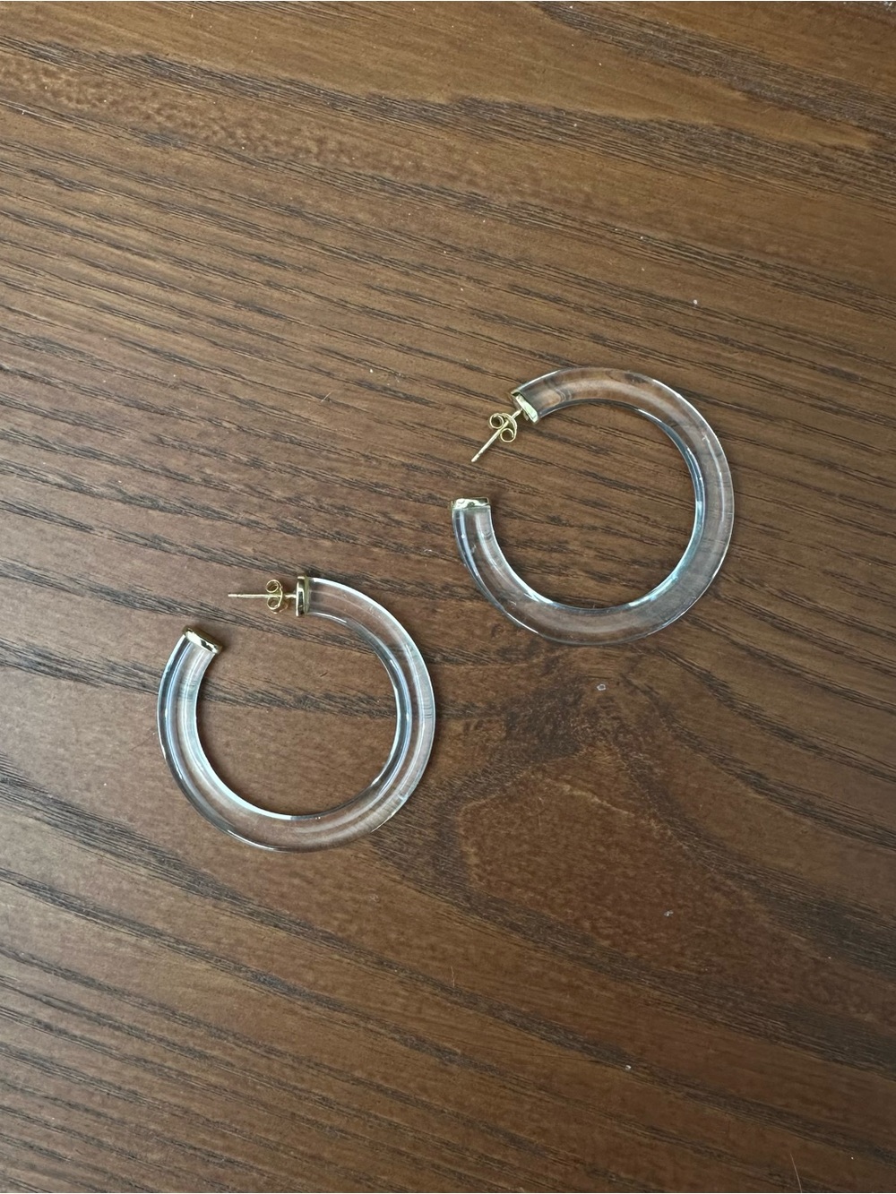Lucite Hoop Earrings